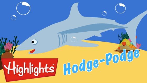 Highlights Hodge-Podge 5 | Full Episode | Kids Videos | FUN with a Purpose - Kingdom Kids Zone, Little Learners - Highlights Kids