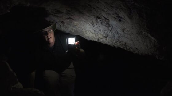 David Flees to the Cave of Adullam - Documentaries, Movies & TV - Appian Media