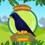 Witness21  2019 10 12