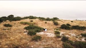 King Saul’s Death on Mt. Gilboa - Documentaries, Movies & TV - Appian Media