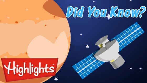 Did you know? | Science Videos For Kids | Highlights - Kingdom Kids Zone, Little Learners - Highlights Kids