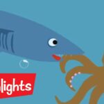Did You Know? Science Videos For Kids | Highlights | Fun with a Purpose - Kingdom Kids Zone, Little Learners - Highlights Kids
