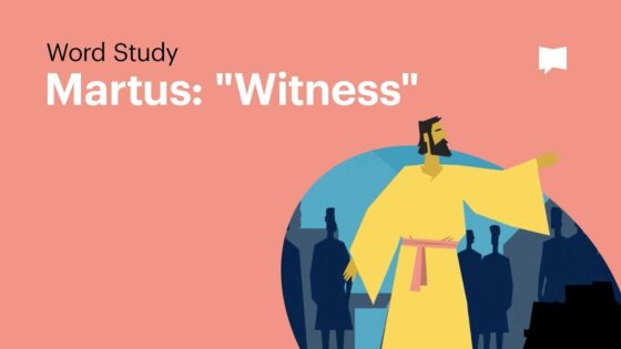 Witness - Bible Study, Movies & TV - BibleProject