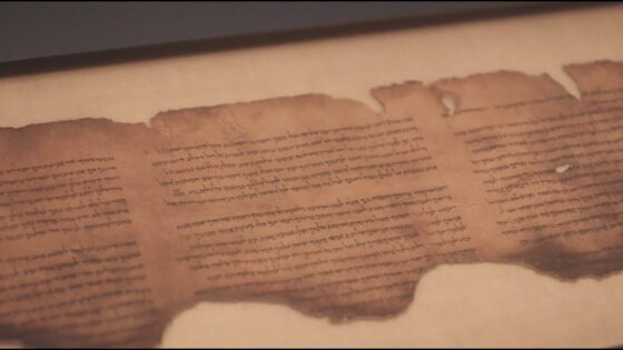 The Truth of the Dead Sea Scrolls - Documentaries, Movies & TV - Appian Media