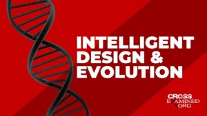 Intelligent Design and Evolution - Science & Faith, Truth Seekers - Cross Examined