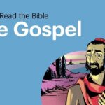 Witness21 Editor  2019 11 12