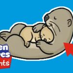 Hidden Picture Puzzles | Fun with the otters! | Fun games for kids | Highlights - Kingdom Kids Zone, Little Learners - Highlights Kids