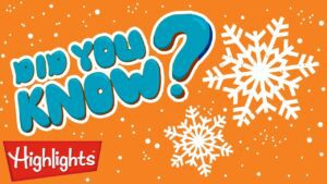 Did you know? Christmas is here! | Highlights Kids | Full Episode | Winter Kids Videos - Kingdom Kids Zone, Little Learners - Highlights Kids