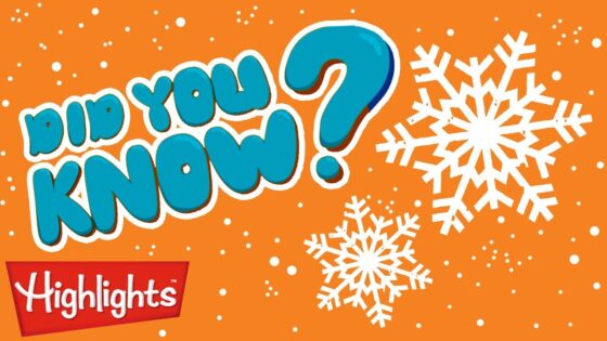 Did you know? Christmas is here! | Highlights Kids | Full Episode | Winter Kids Videos - Kingdom Kids Zone, Little Learners - Highlights Kids