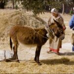 Nazareth the City Where JESUS Grew up - Documentaries, Movies & TV - Appian Media