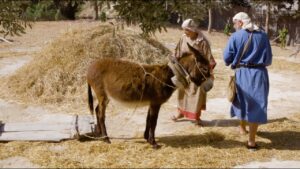 Nazareth the City Where JESUS Grew up - Documentaries, Movies & TV - Appian Media