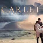 Witness21 Editor  2019 12 13