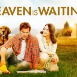 Witness21 Editor  2019 12 13