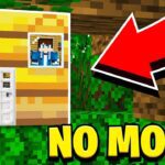 How to Live Inside a BEE HIVE in Minecraft Tutorial! (Pocket Edition, PS4, Xbox, PC, Switch) - Gameplay, Kingdom Kids Zone, Minecraft - EYstreem