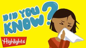 Learn about sneezing and so much more! | Highlights Kids - Kingdom Kids Zone, Little Learners - Highlights Kids