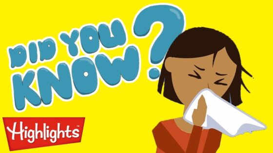 Learn about sneezing and so much more! | Highlights Kids - Kingdom Kids Zone, Little Learners - Highlights Kids