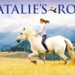 Witness21 Editor  2019 12 13