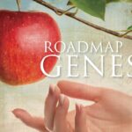 Witness21  2019 12 13