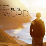 Witness21 Editor  2019 12 13