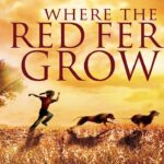 Witness21 Editor  2019 12 13