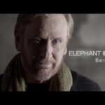 Witness21 Editor  2020 01 15