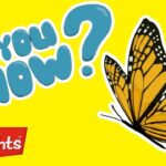 Did you know? Fun Bugs! | Highlights Kids | Full Episode | Winter Kids Videos - Kingdom Kids Zone, Little Learners - Highlights Kids