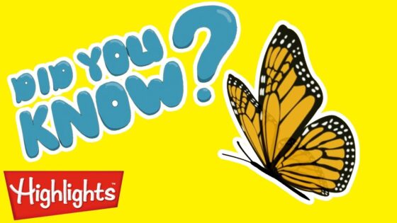 Did you know? Fun Bugs! | Highlights Kids | Full Episode | Winter Kids Videos - Kingdom Kids Zone, Little Learners - Highlights Kids