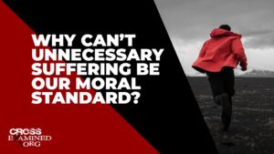 Why can’t unnecessary suffering be our moral standard? - Morality & Meaning, Truth Seekers - Cross Examined