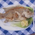 Fishing on the Sea of Galilee - Documentaries, Movies & TV - Appian Media