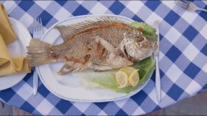 Fishing on the Sea of Galilee - Documentaries, Movies & TV - Appian Media