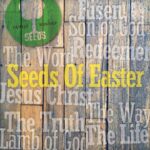 Witness21 Editor  2020 01 08