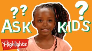 Ask Kids | Should You Copy? | Guessing Game for Kids | Learning Videos | Highlights - Kingdom Kids Zone, Little Learners - Highlights Kids