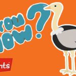 Did you know? All about ostriches! | Highlights Kids | Full Episode | Kids Videos - Kingdom Kids Zone, Little Learners - Highlights Kids