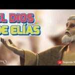 Witness21 Editor  2020 02 24