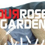 Witness21 Editor  2020 02 25