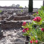 Jesus Performed Numerous Miracles in Capernaum - Documentaries, Movies & TV - Appian Media