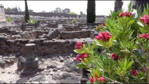 Jesus Performed Numerous Miracles in Capernaum - Documentaries, Movies & TV - Appian Media