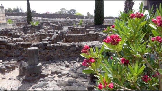 Jesus Performed Numerous Miracles in Capernaum - Documentaries, Movies & TV - Appian Media