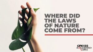 Where did the laws of nature come from? - Science & Faith, Truth Seekers - Cross Examined