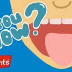 Did you know? All about FOOD! | Highlights Kids | Full Episode | Winter Kids Videos - Kingdom Kids Zone, Little Learners - Highlights Kids