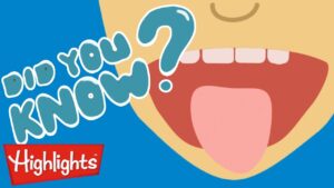 Did you know? All about FOOD! | Highlights Kids | Full Episode | Winter Kids Videos - Kingdom Kids Zone, Little Learners - Highlights Kids
