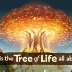 Witness21 Editor  2020 02 19