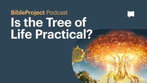 Is the Tree of Life Practical? – BibleProject Podcast - Bible Study, Movies & TV - BibleProject