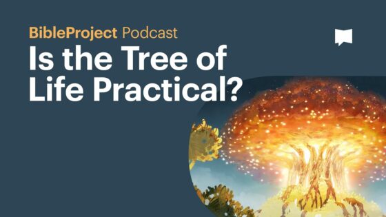 Is the Tree of Life Practical? – BibleProject Podcast - Bible Study, Movies & TV - BibleProject