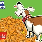 HAPPY DOG IN FALL | Hidden Pictures Puzzles | Kids Videos | Highlights - Kingdom Kids Zone, Little Learners - Highlights Kids