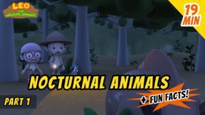 Witness21 Editor  2020 03 13