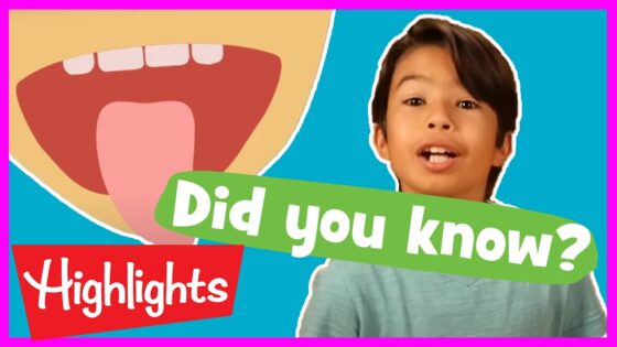 Educational Videos for Kids | 2020 | Fun Learning Videos for Kids | Did You Know? | Highlights Kids - Kingdom Kids Zone, Little Learners - Highlights Kids