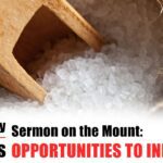 Opportunities to Influence – Bible Study without Borders: Ep. 1 (Matt. 5:13-16) - Documentaries, Movies & TV - Appian Media