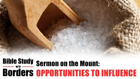 Opportunities to Influence – Bible Study without Borders: Ep. 1 (Matt. 5:13-16) - Documentaries, Movies & TV - Appian Media