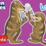 SHOE SHOP OCTOPUS | Hidden Pictures Puzzles | Kids Videos | Highlights - Kingdom Kids Zone, Little Learners - Highlights Kids